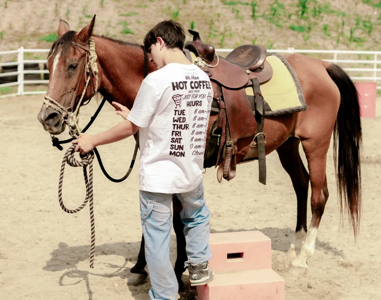 Cuidando do cavalo na arena