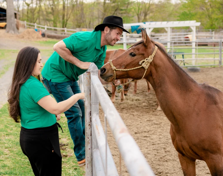 Casal cuidando dos cavalos